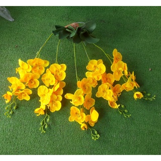 LAN TREO TƯỜNG .HÀNG ĐẸP .GIÁ RẺ .