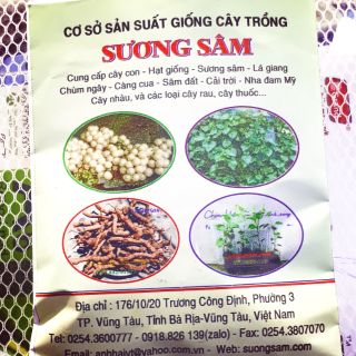 Hạt giống Rau Càng cua gói 0.5gr