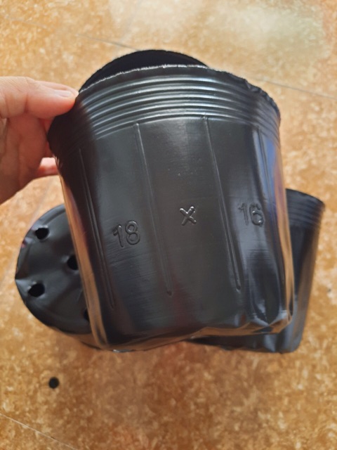 1kg chậu ươm cây chọn size