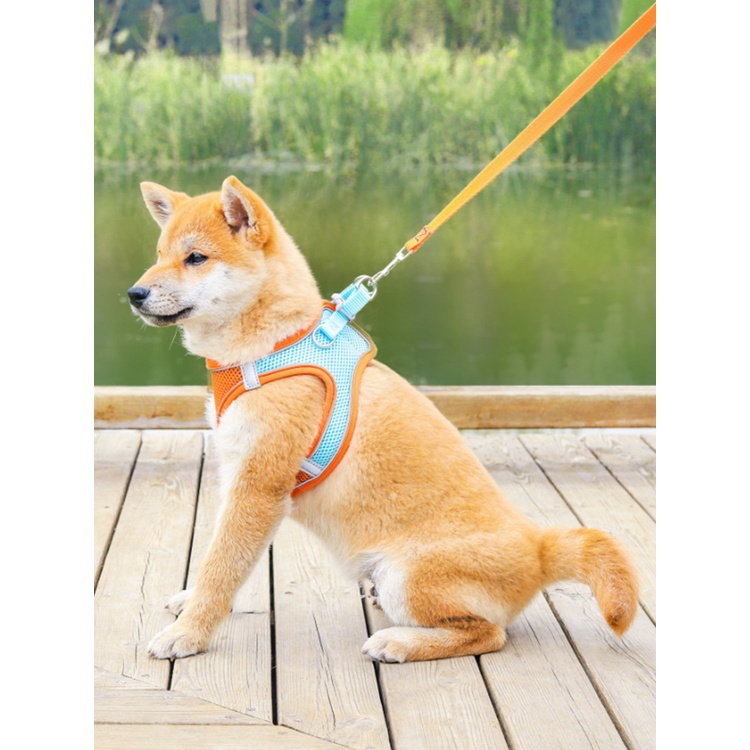Dây dắt chó đi dạo ,dây yếm đai áo ngực cho chó mèo có vòng phản quang CANDYPETS DD01