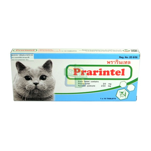 Prarintel - Viên xổ zun mèo của Thái Lan nhập khẩu trực tiếp