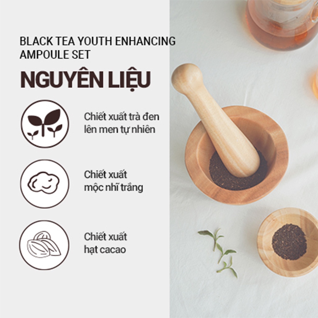 (Quà tặng) Bộ sản phẩm chống lão hóa trà đen Innisfree Black Tea Youth Enhancing Ampoule Set