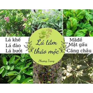 Lá tắm thảo mộc cho bé