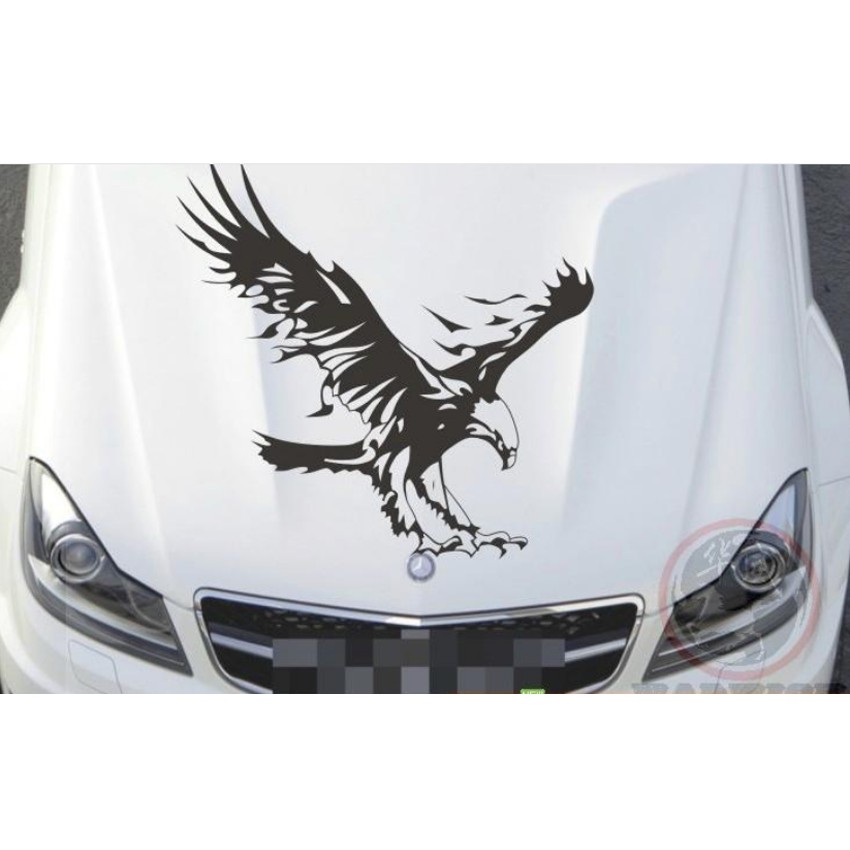 Decal hình Đại Bàng dán xe _ Màu đen