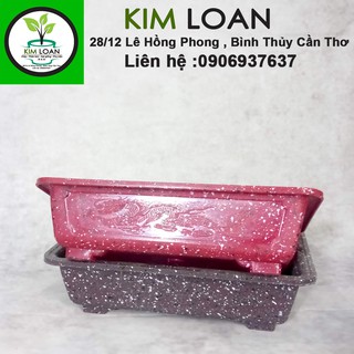 Combo 4 chậu nhựa bonsai chữ nhật vân đá 30x20x8cm