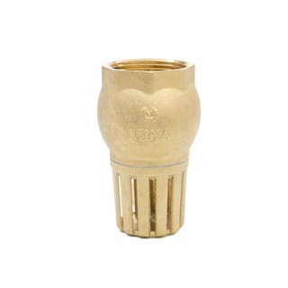 Rọ bơm đồng DN40 Minh Hòa