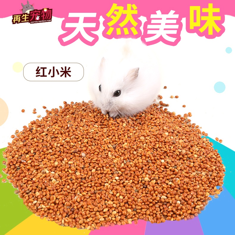 Hạt kê đỏ thức ăn cho Hamster, chim, két