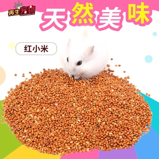Hạt kê đỏ thức ăn cho Hamster, chim, két