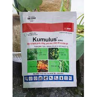 [CHÍNH HÃNG] kumulus 1kg, trừ  nhện đỏ, nhện gié, phấn trắng, ghẻ