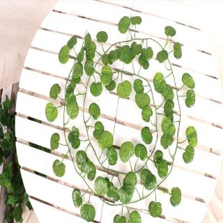 Lá giả, sợi dây leo hải đường dài 2.3m 80 lá