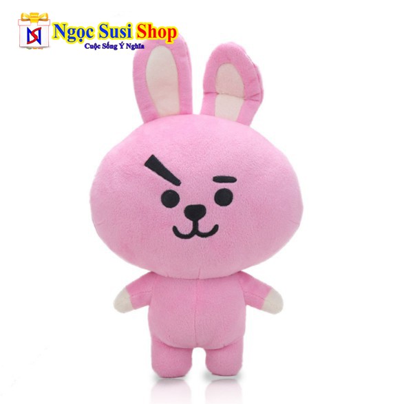 [ẢNH THẬT SIZE TO] Gấu bông BTS BT21 Size To 40CM