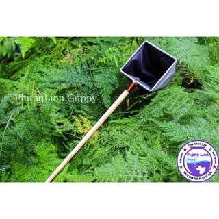 Vợt Cá Betta Guppy ( Vợt Giữ Nước )