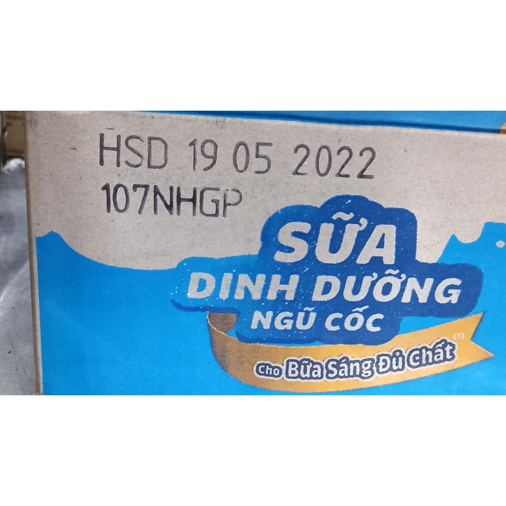 dây 10 gói Sữa dinh dưỡng ngũ cốc Dutch Lady cô gái hà lan ( 6.2022)