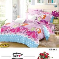 Bộ Drap cotton hàn quốc