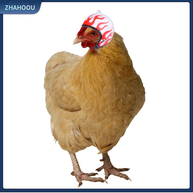 ☃Nhà☃ Mũ Bảo Hiểm In Họa Tiết Hoạt Hình Cho Gà / Chim Cảnh