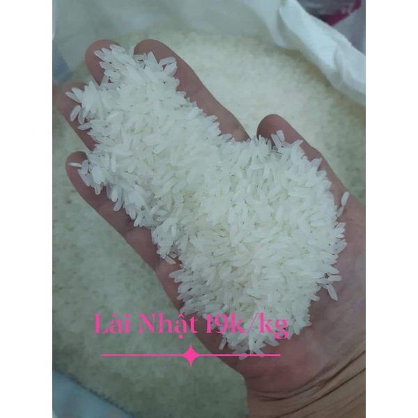 ☀️☀️☀️ Combo 3kg Gạo Lài Nhật dẻo thơm