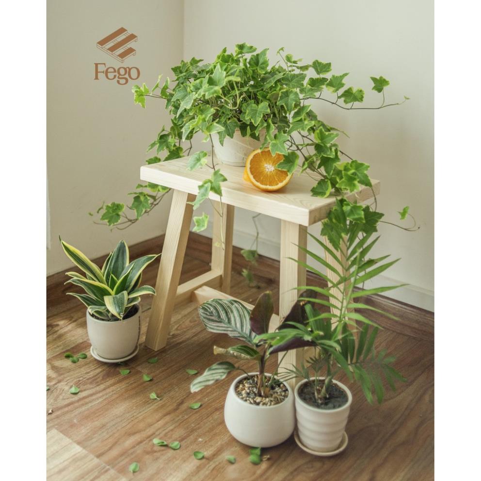 Ghế đôn FEGO0010/ Ghế trang trí decor gỗ thông