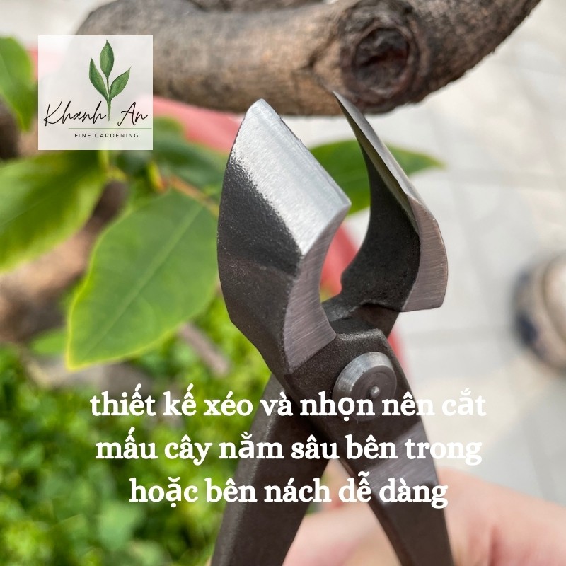 Kìm cạp xéo Nhật bonsai chuyên nghiệp, thép hợp kim/ Kềm cạp xéo thép đen dài 21cm, hàng chất lượng cao