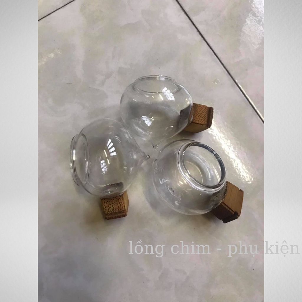 Cóng chim chào mào, họa mi( đủ bộ)  - Combo 3 cóng thủy tinh chào mào,họa mi kèm tai tàu cao cấp