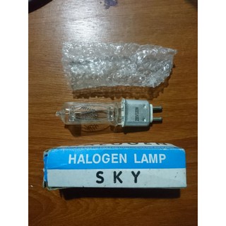 Bóng đèn Halogen 500W chân cắm