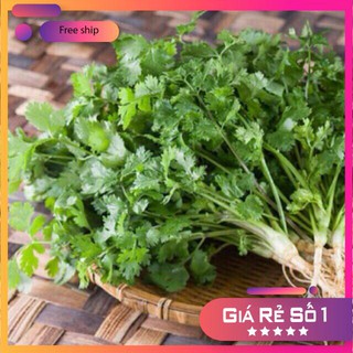 Hạt giống ngò rí (rau mùi) 20g