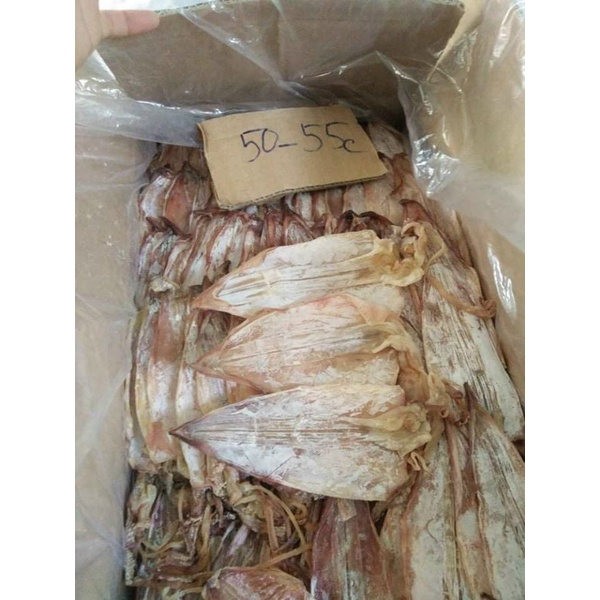 🐙🦑1 con KHÔ MỰC CÂU TẠI CẢNG SA Kì - QUẢNG NGÃI.