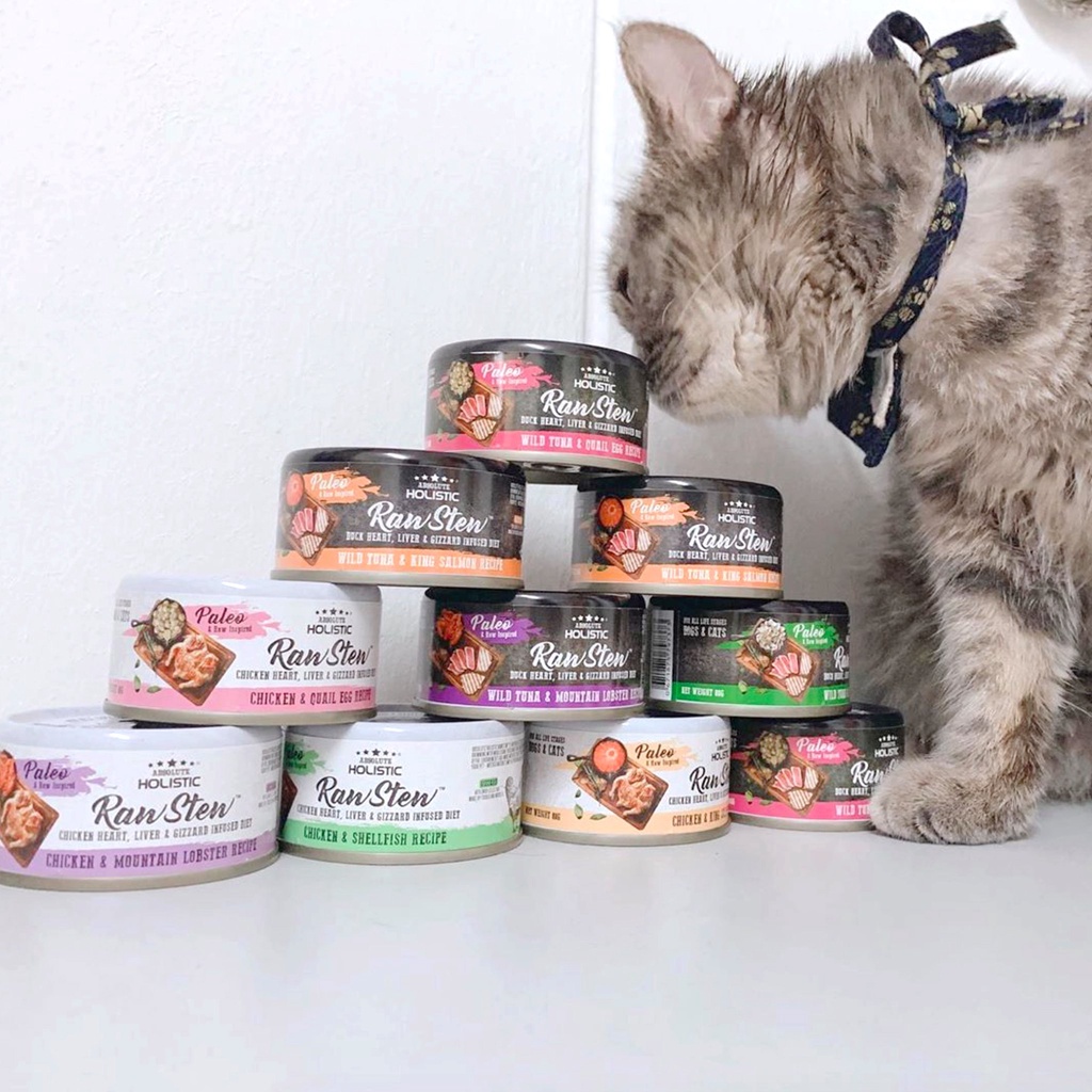 Pate RAW STEW Thịt Cá Hầm Cao Cấp Cho Chó Mèo Tăng Cân - Lon 80g