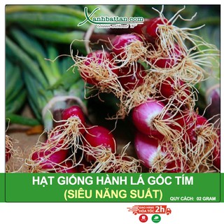 Hạt Giống Hành Lá Gốc Tím Phú Nông Gói 2 Gram