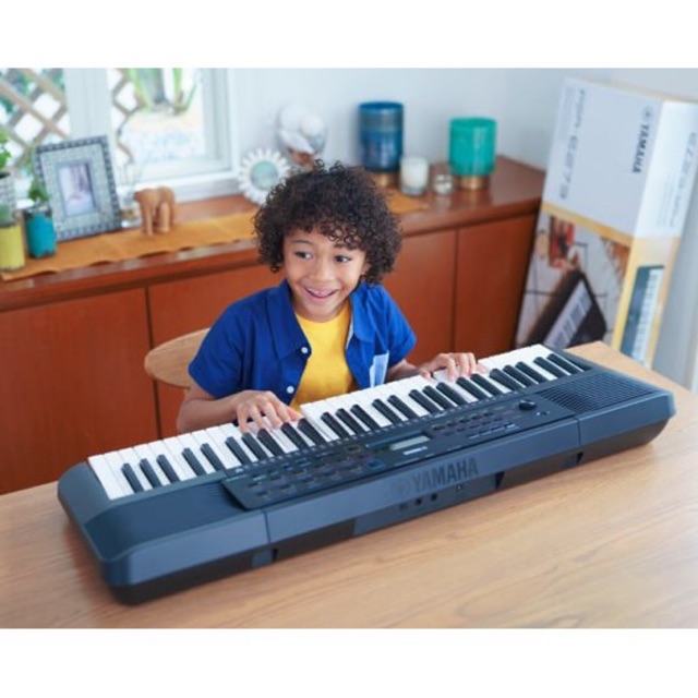 Đàn Organ Yamaha PSR-E273 (mới)