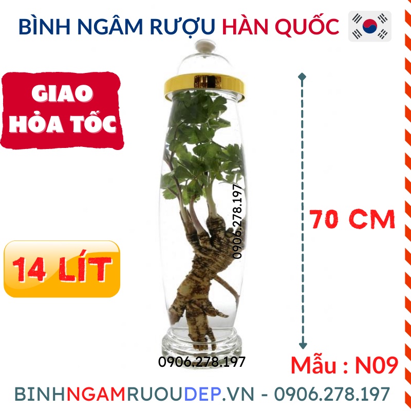 Bình ngâm rượu Hàn Quốc 14 Lít Mã : NO9