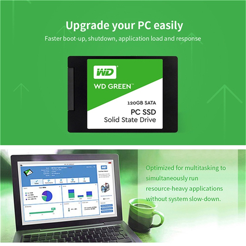 Ổ Cứng SSD Kỹ Thuật Số 120GB 240GB 480GB SATA3 2.5 Inch WD Màu Xanh Lá