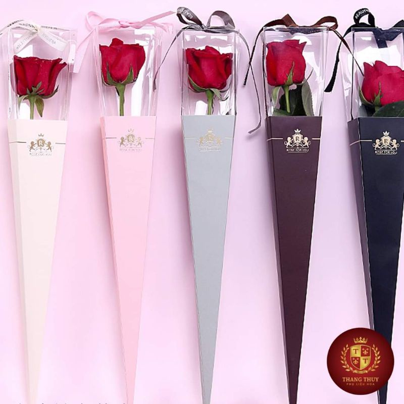 10 hộp mica đựng 1 bông