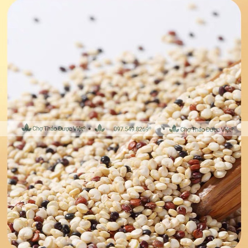 Hạt diêm mạch hữu cơ 100g (Quinoa trắng dành cho người ăn kiêng, làm sữa hạt dinh dưỡng) - Chợ Thảo Dược Việt