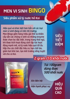 Men vi sinh hồ cá Bingo
