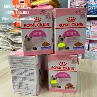 Thức ăn dạng ướt dành cho mèo con từ 4-12 tháng tuổi Royal Canin Kitten