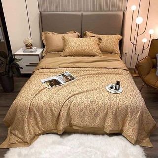 Chăn lụa tencel (ib xem thêm mẫu)