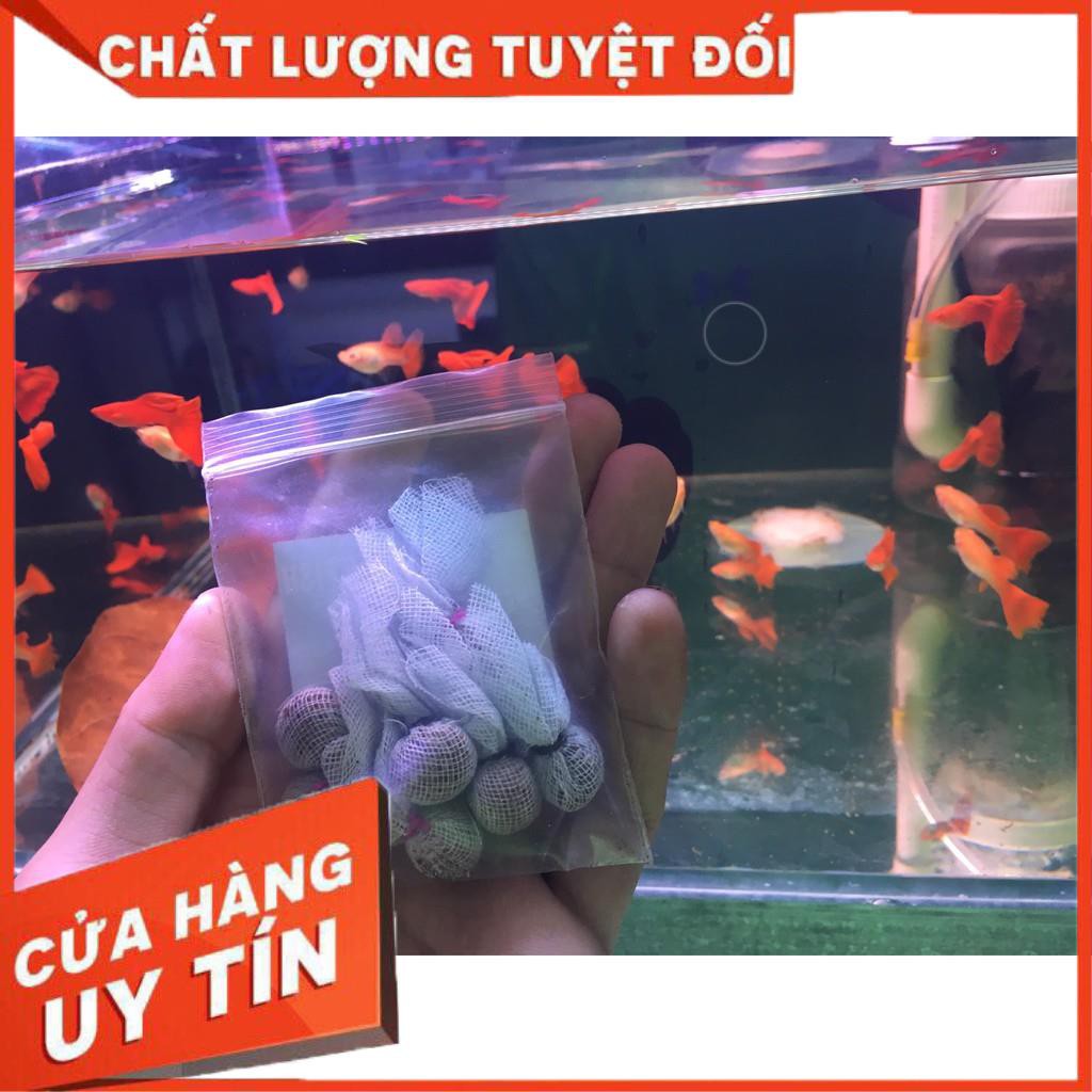 Thuốc bắc dưỡng cá cảnh