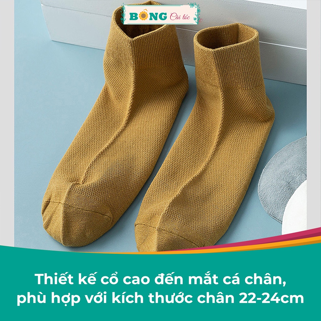 Tất nữ cổ ngắn nhiều màu chất cotton mềm mịn, co giãn 4 chiều phong cách Hàn Quốc TC30 - Vớ BÔNG Cài Tóc
