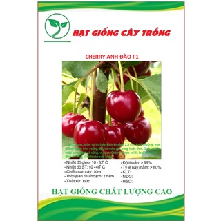Hạt giống cherry f1 ct296 - gói 10 hạt