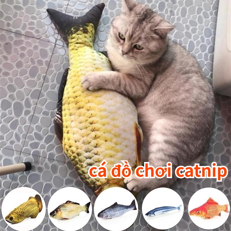 Đồ chơi mô phỏng cá catnip 20cm Đồ chơi mèo