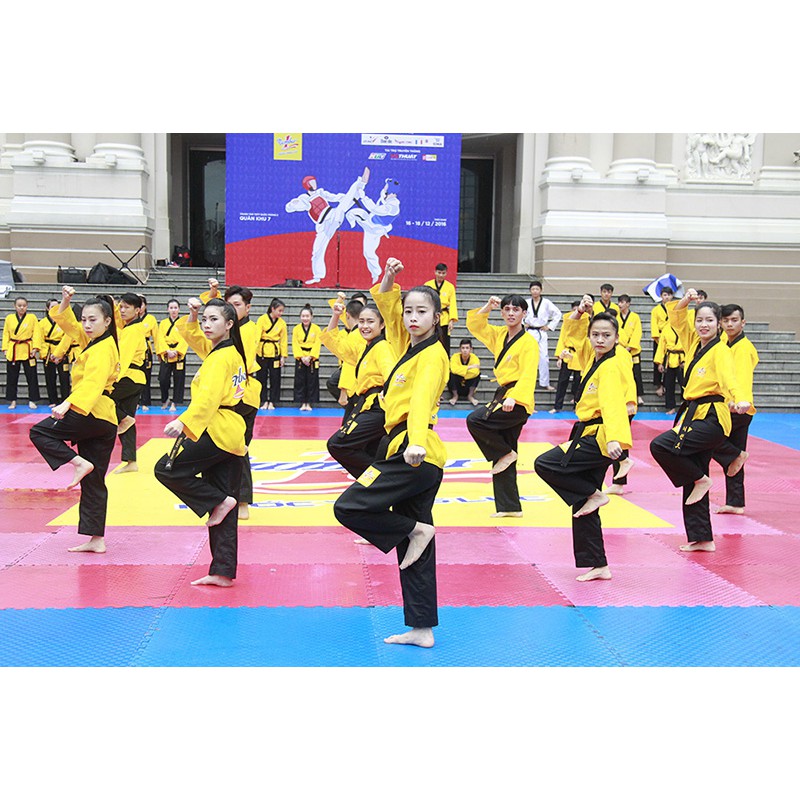 Võ Phục Taekwondo Đồ Võ Thái Cực Đạo Loại Quyền -Vải Sọc ailaikit