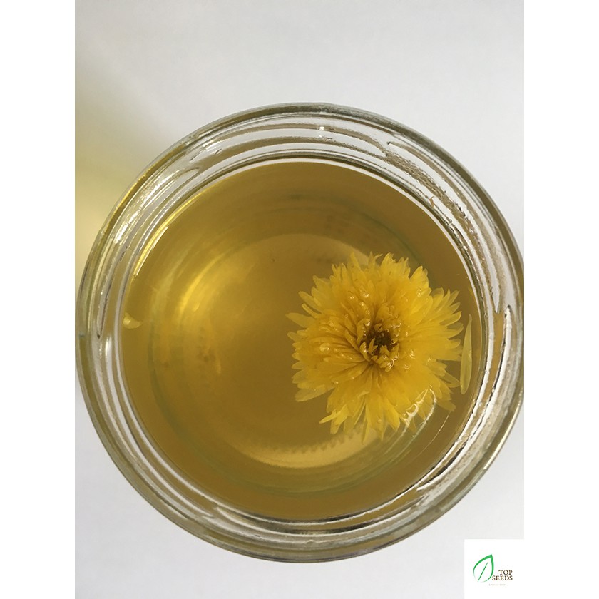 Trà Hoa Cúc Đường Phèn Mật Ong 1 viên | BigBuy360 - bigbuy360.vn