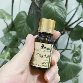 Tinh dầu húng quế