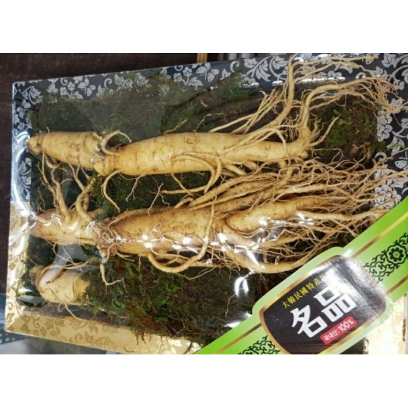 Sâm tươi Hàn Quốc size 12 củ/1kg 500gr 1050k (NSHQ-003)