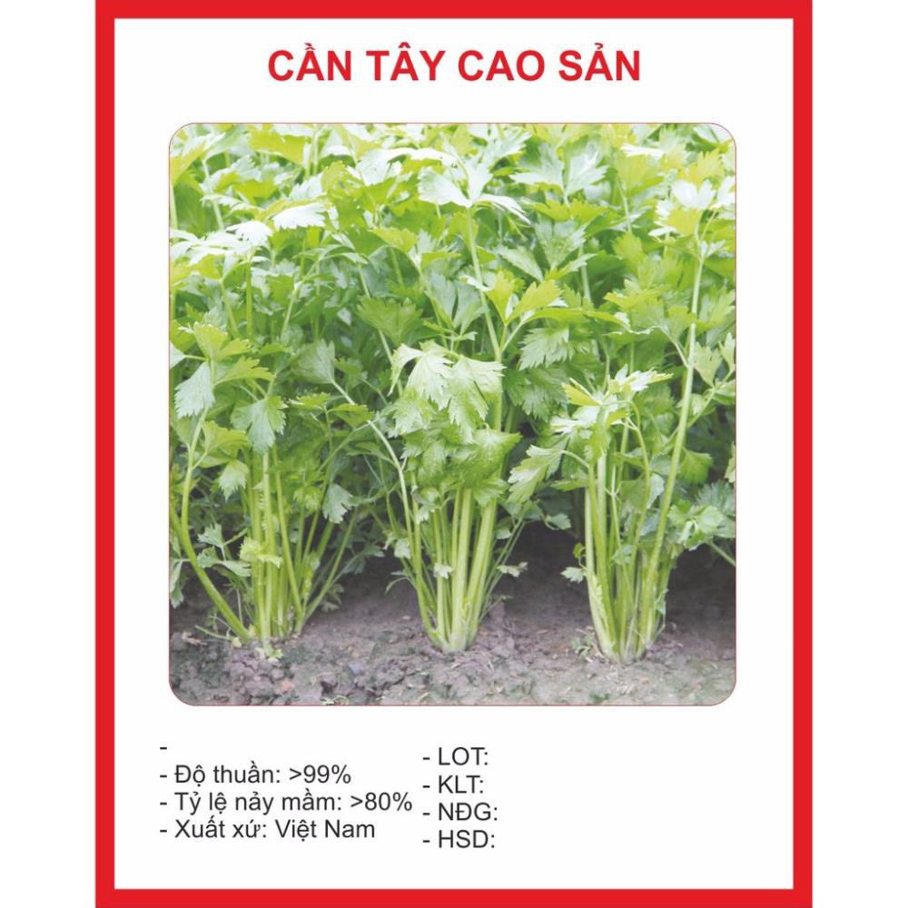 Hạt giống Cần Tây 2gram