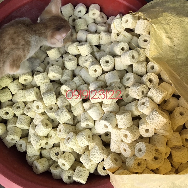 Sứ nhẫn vàng - sứ lọc bể cá gói 500gr