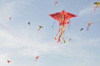 Diều ngang 80cm