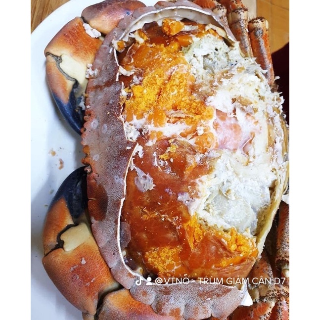 Cua Nâu Na-Uy size Lớn