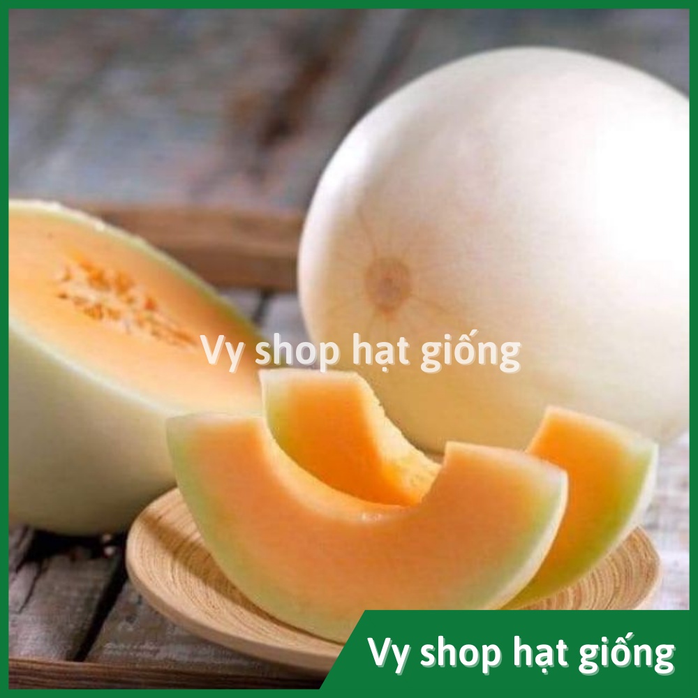 Hạt giống dưa lê cẩm ngọc ruột cam Thái Lan gói 12 hạt