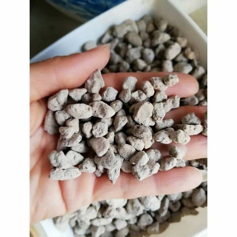 Đá Pumice ( Đá bọt núi lửa) _ thoát nước tốt, giữ ẩm tốt, tốt cho bộ rễ_ trồng lan, sen đá, cây kiểng